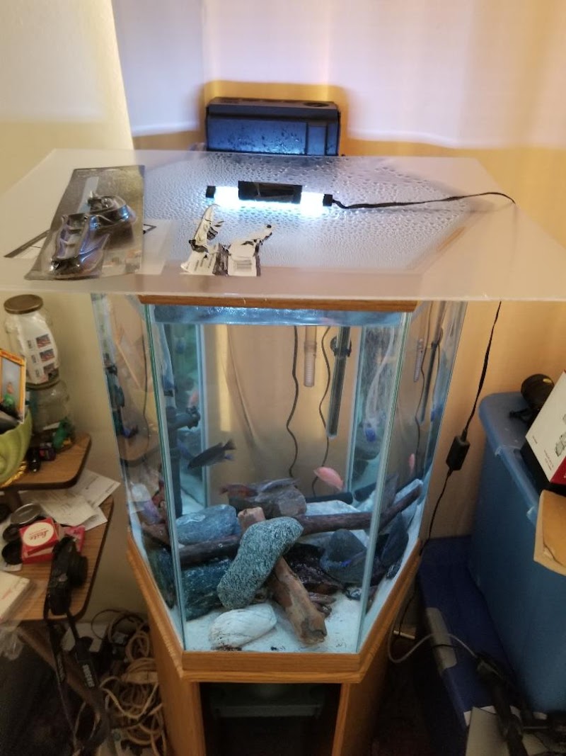 Fish City Koi & Tropical Fish - Photo 3