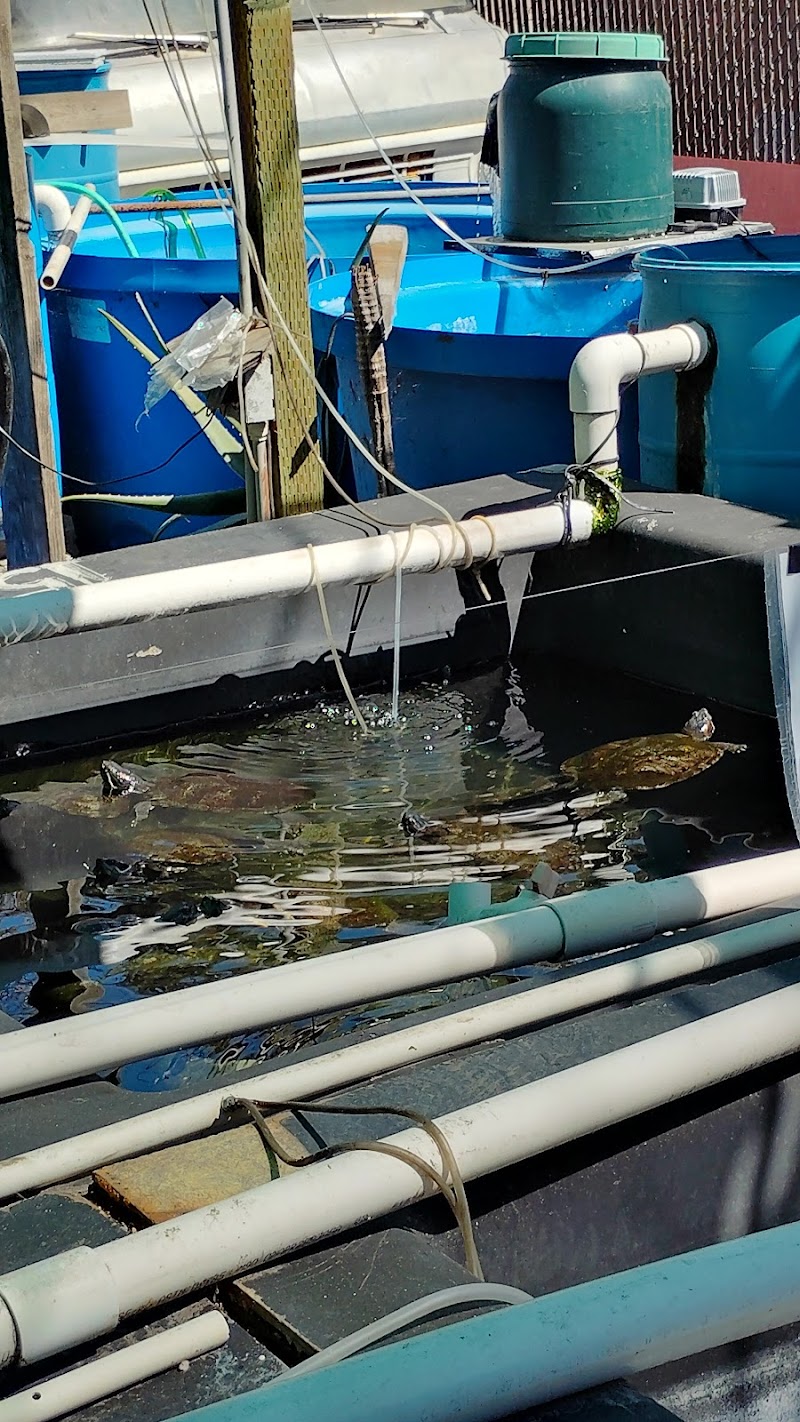 Fish City Koi & Tropical Fish - Photo 4