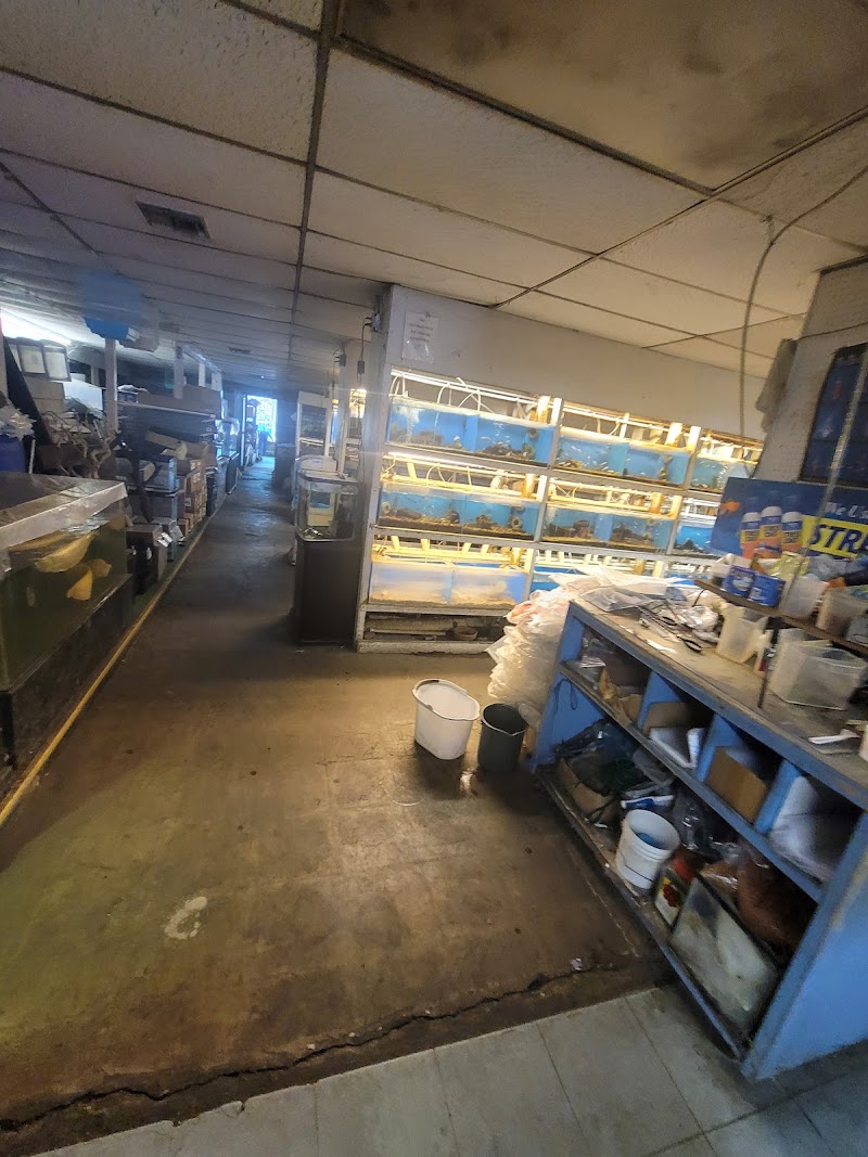 Fish City Koi & Tropical Fish - Photo 5