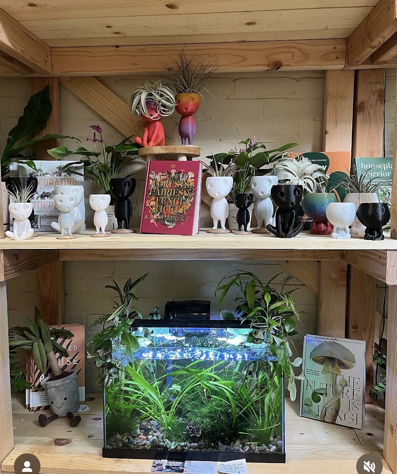 Bermuda Aquatics Exotic Fish & Ponds - Photo 4