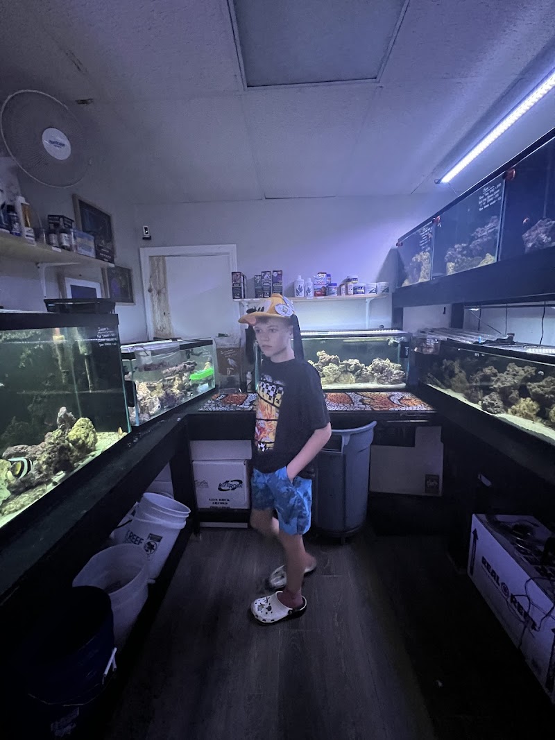 Bermuda Aquatics Exotic Fish & Ponds - Photo 5