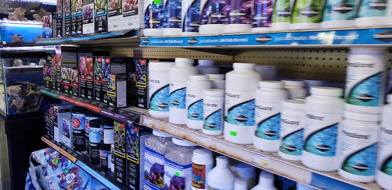 Extreme Marine - Photo 5