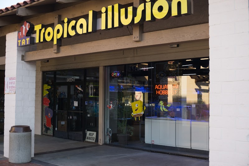 Tat Tropical Illusion - Photo 1