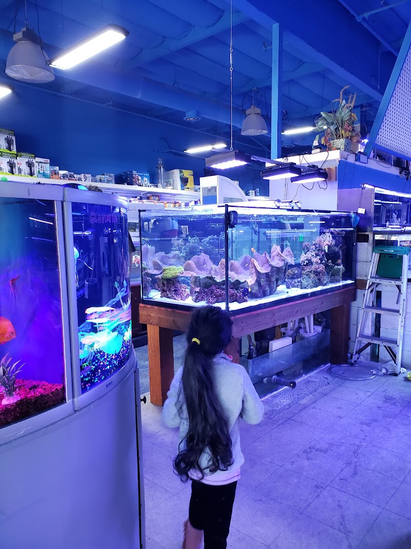 Tat Tropical Illusion - Photo 2