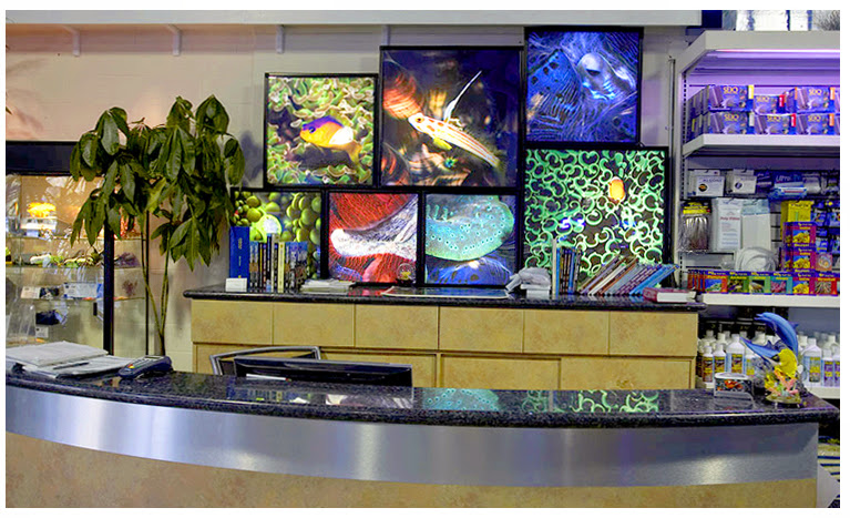 Tat Tropical Illusion - Photo 3