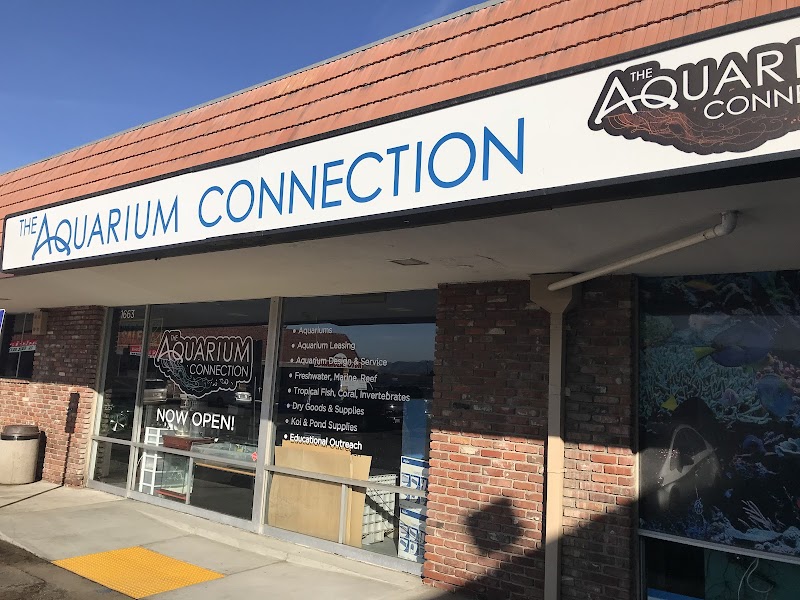 The Aquarium Connection - Photo 1