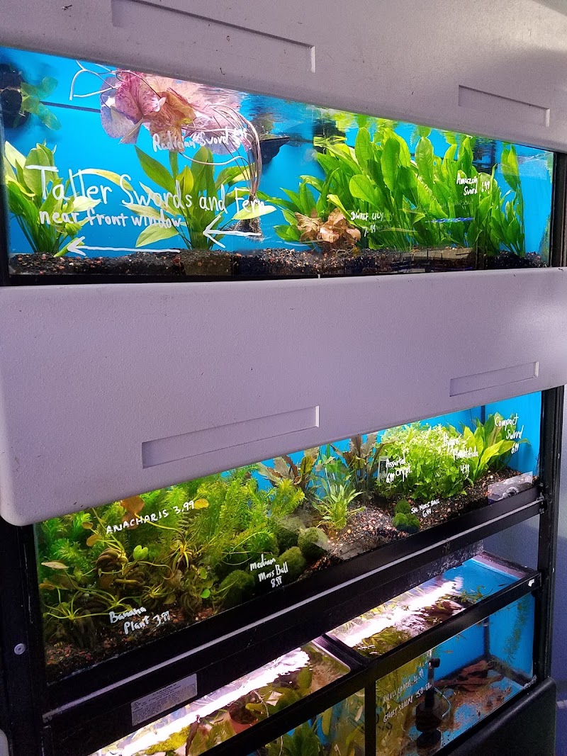 The Aquarium Connection - Photo 5