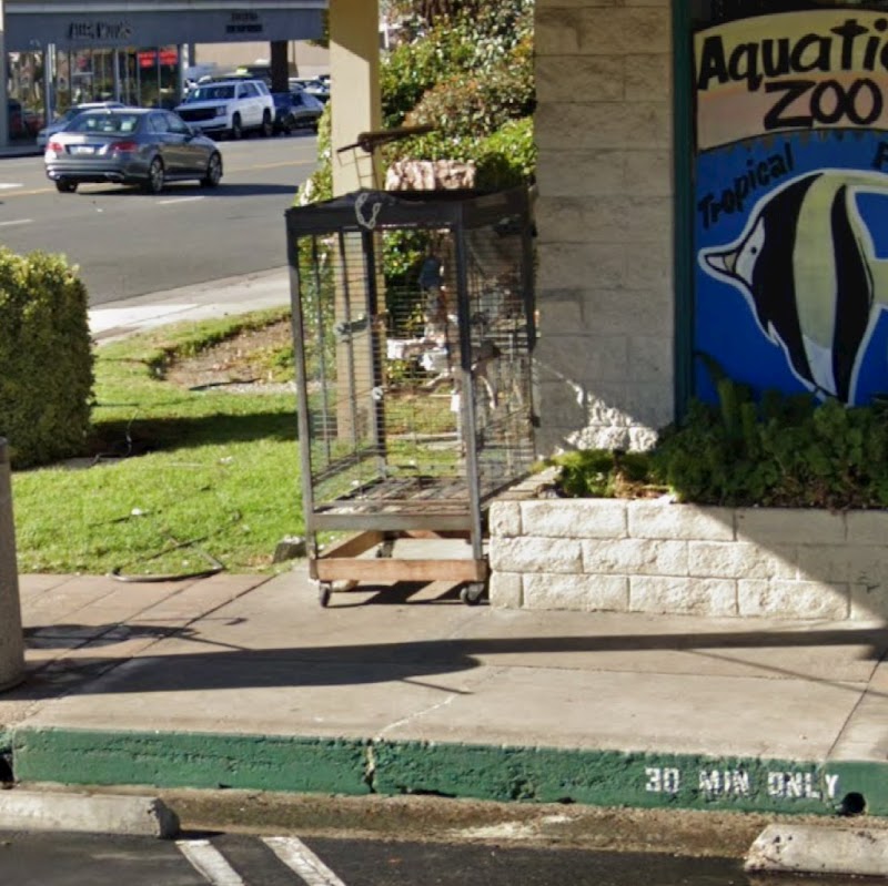 Aquatic Zoo Tropical Fish - Photo 1