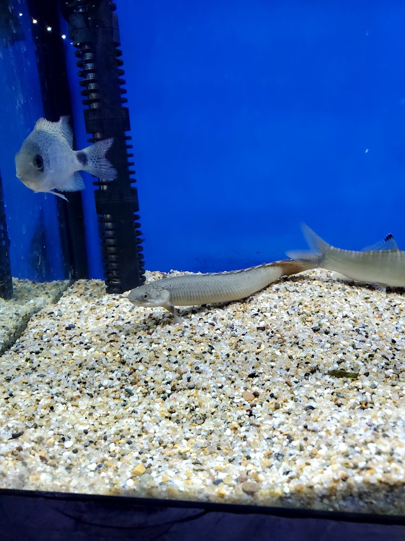 Aquarium Specialties - Photo 3