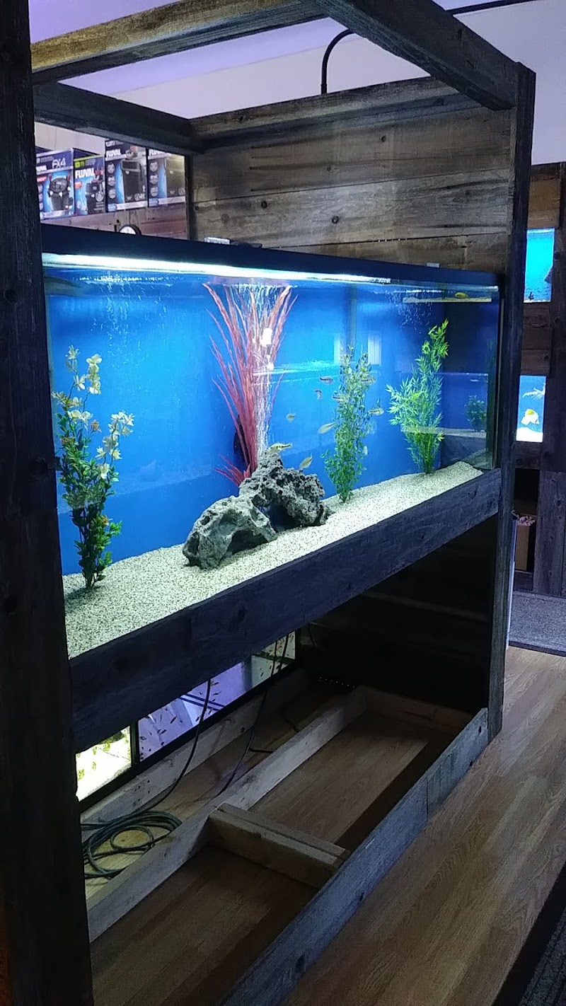 Aquarium Specialties - Photo 5