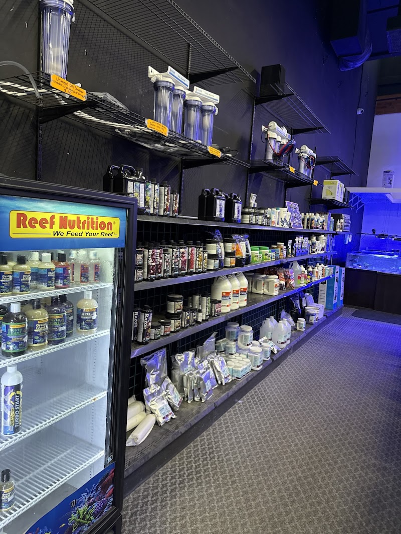 NorCal Corals - Photo 3