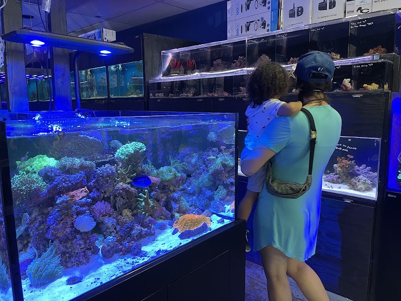 Splash Aquarium - Photo 2