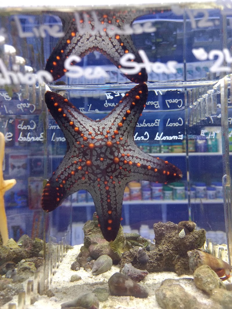 Splash Aquarium - Photo 3