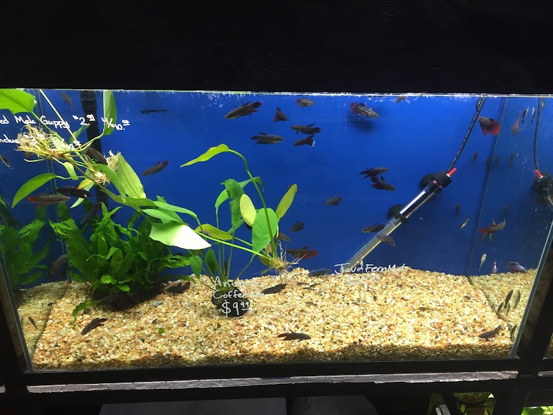 Splash Aquarium - Photo 4