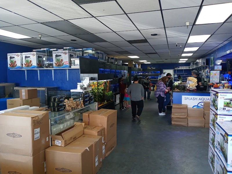 Splash Aquarium - Photo 5