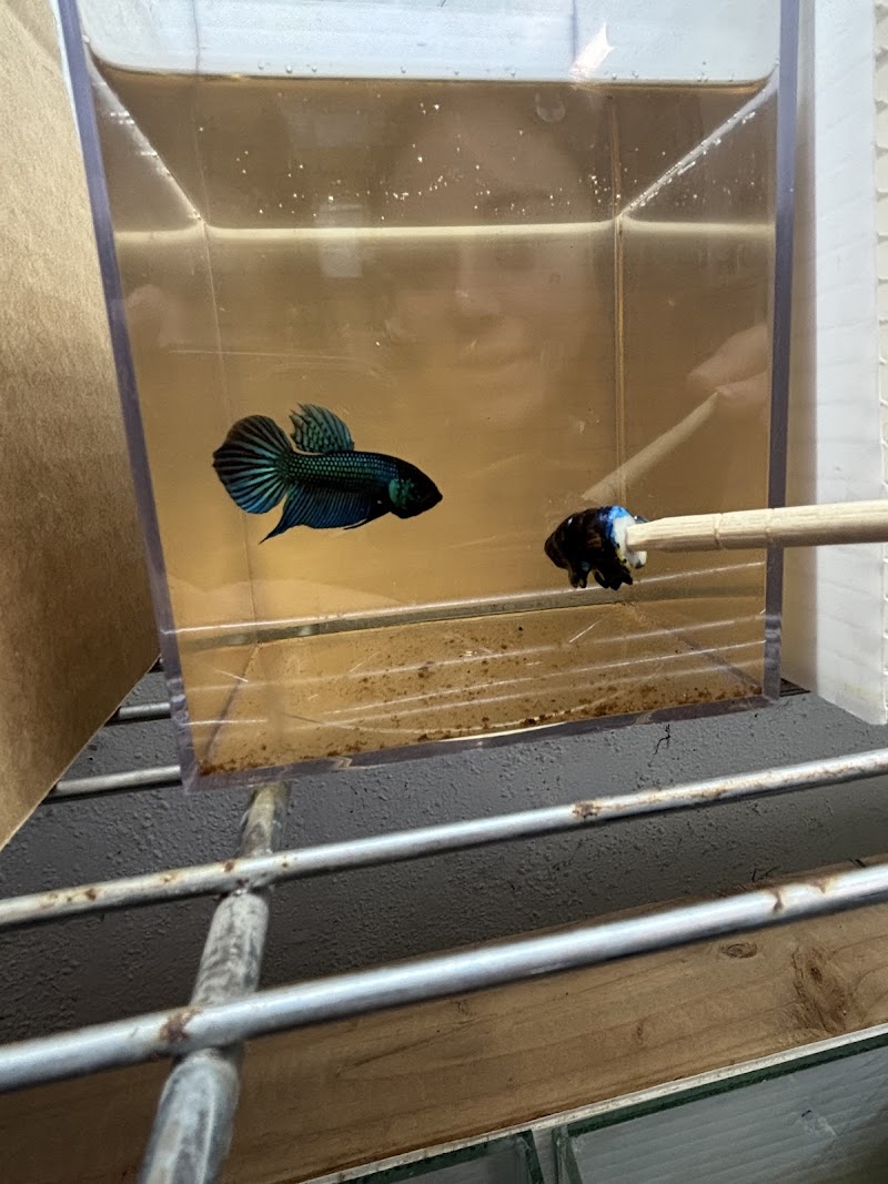 916 Aquatics - Photo 4