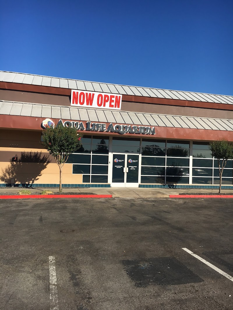 Aqua Life Aquarium - Photo 1