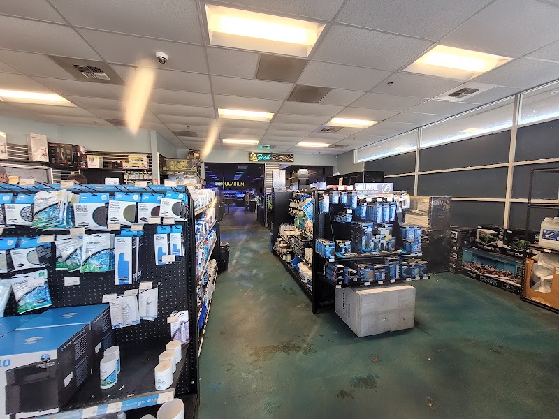 Aqua Life Aquarium - Photo 3