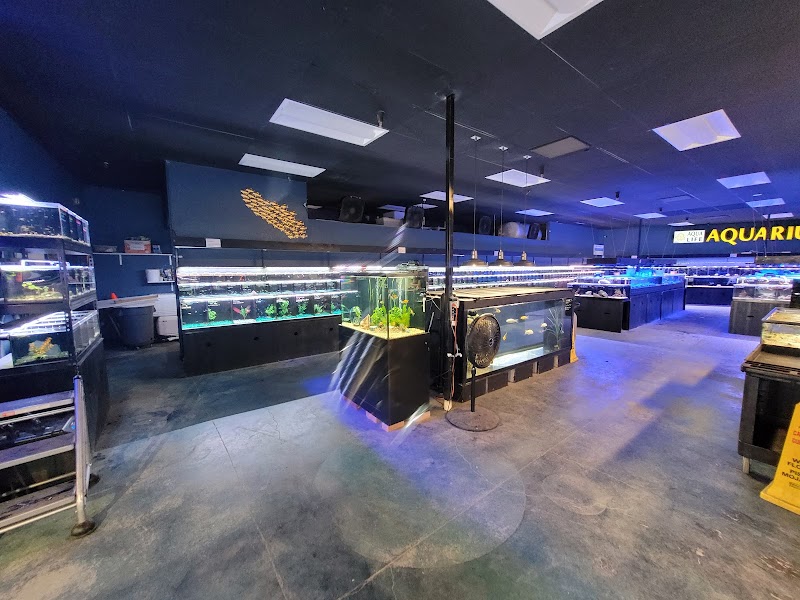 Aqua Life Aquarium - Photo 4