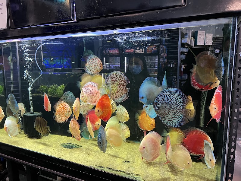 Aqua Life Aquarium - Photo 5