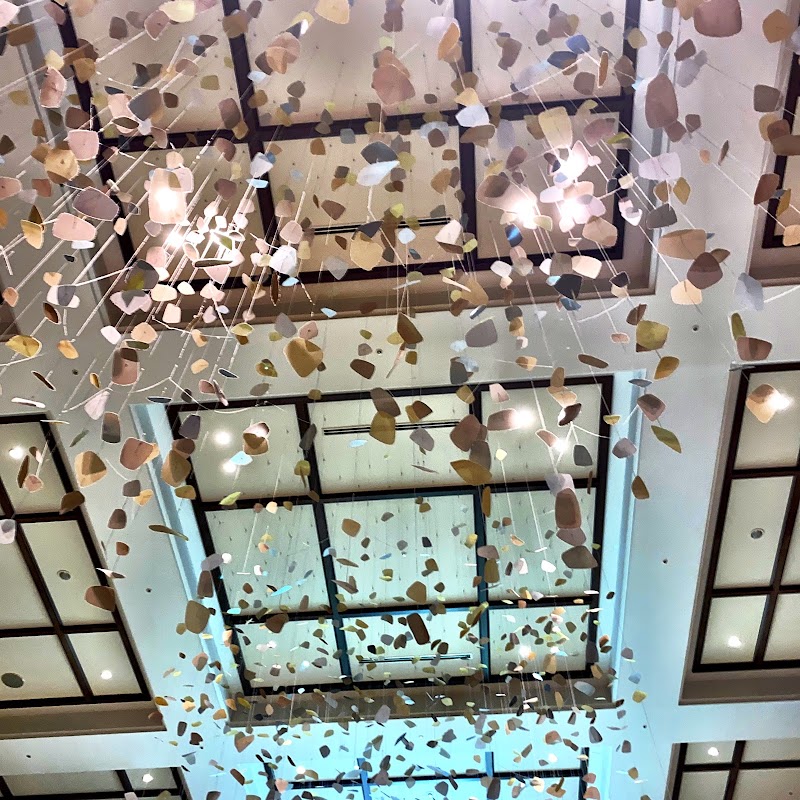 Koi Enterprise - Photo 4