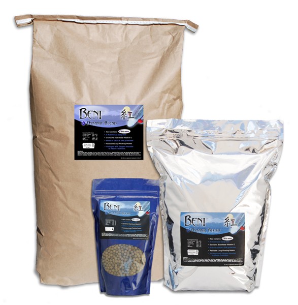 Koi Enterprise - Photo 5