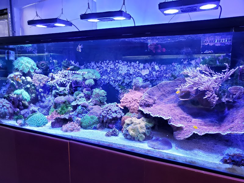 The Love Aquarium - Photo 2