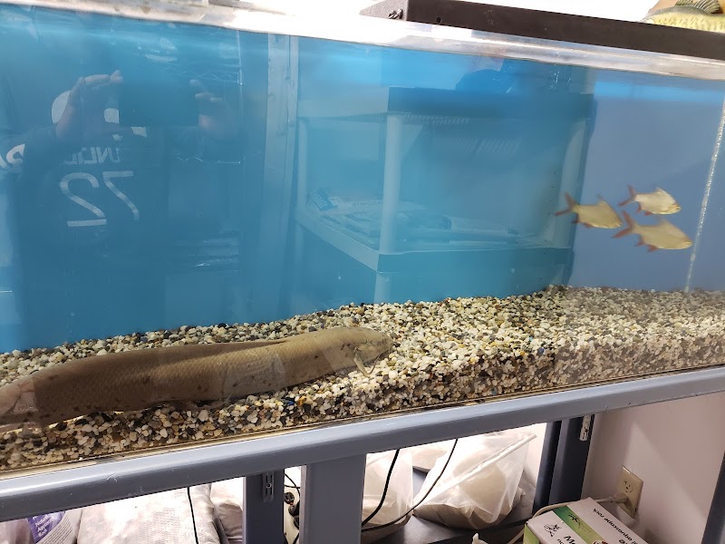 The Love Aquarium - Photo 3