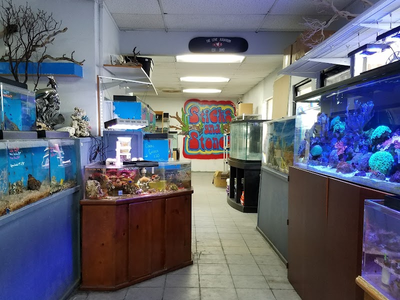 The Love Aquarium - Photo 5