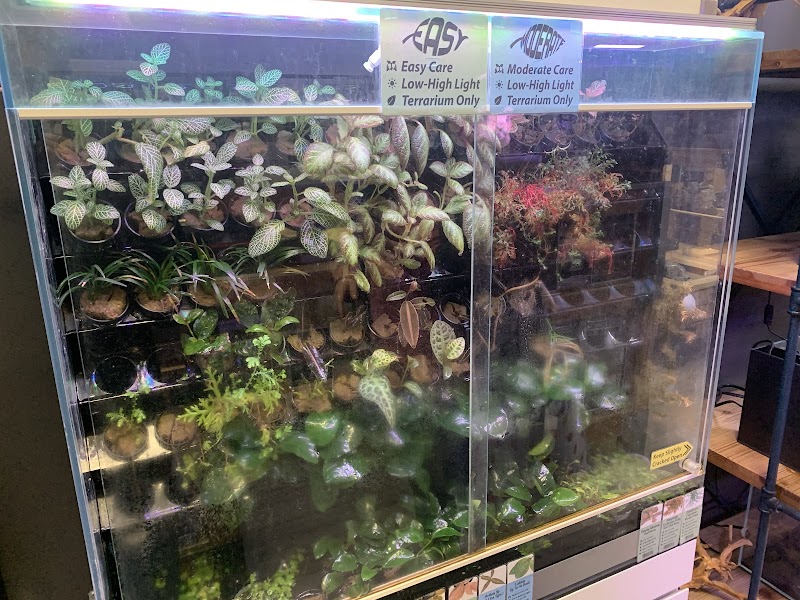 Zan's Aquatica - Photo 4