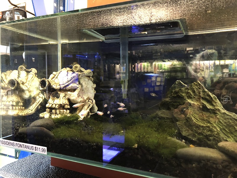 Underwater Depot - Photo 1