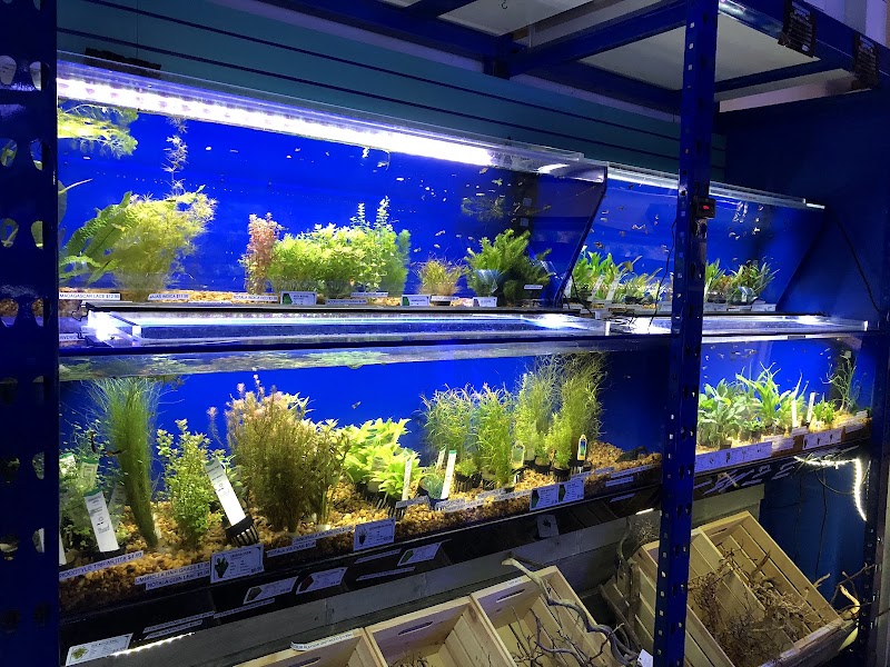 Underwater Depot - Photo 2