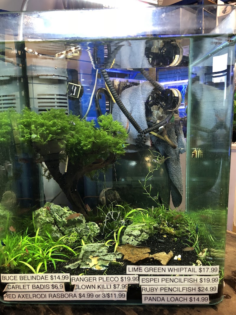 Underwater Depot - Photo 3