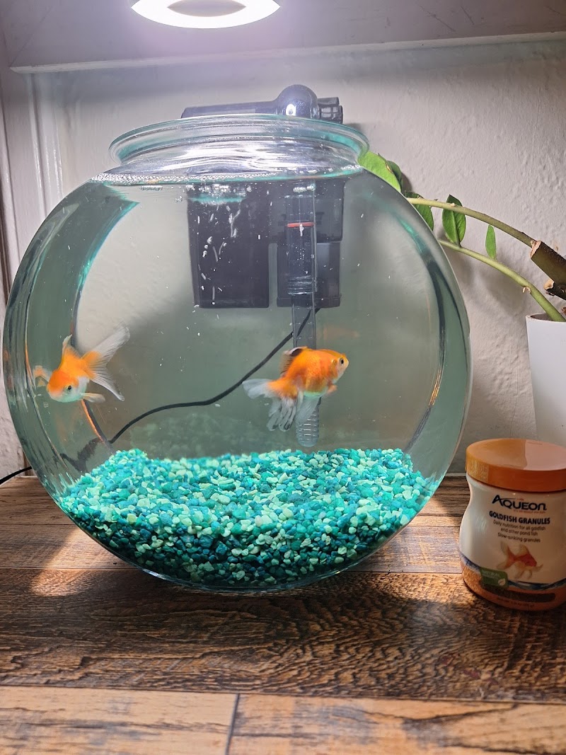 Ocean Flower - Photo 4