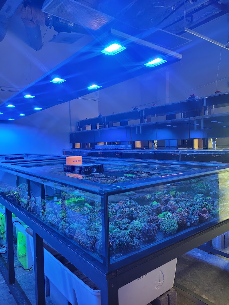 Aqua Plus Aquarium - Photo 2