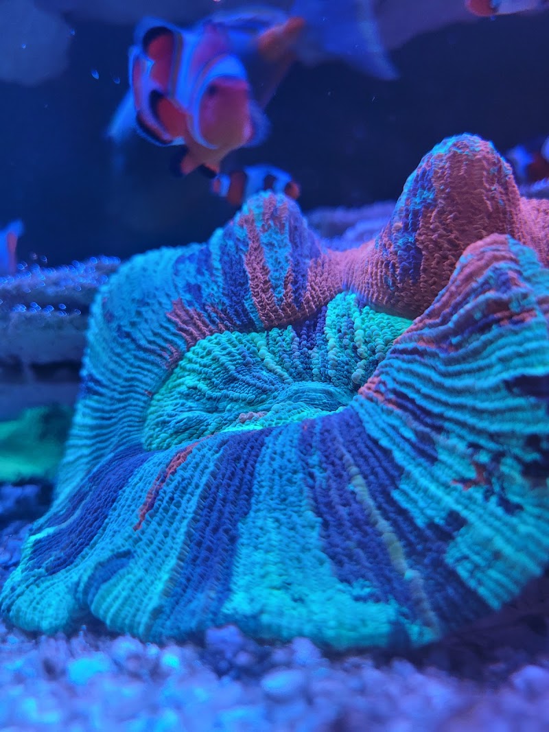 Aqua Plus Aquarium - Photo 3