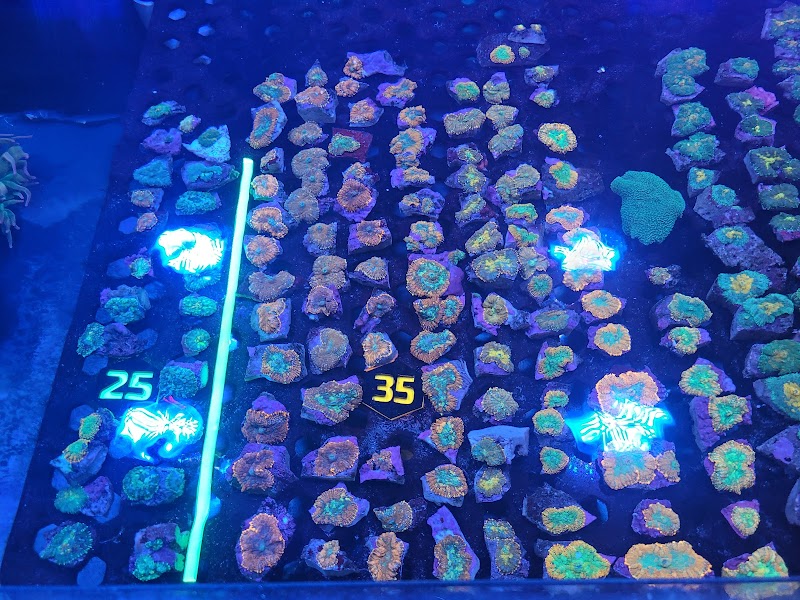 Aqua Plus Aquarium - Photo 4