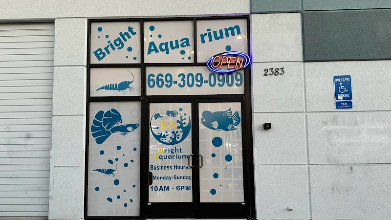 Bright Aquarium - Photo 1