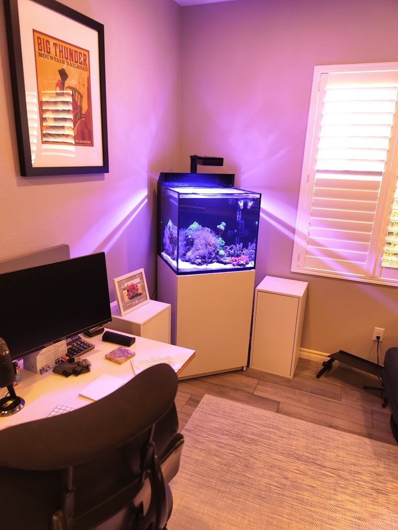 Aquatica Corals and Custom Aquariums - Photo 4