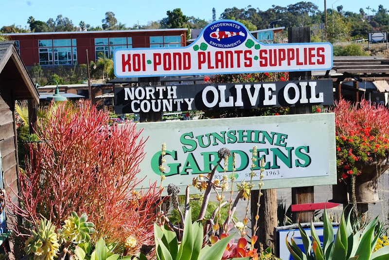 Underwater Environments - Photo 1