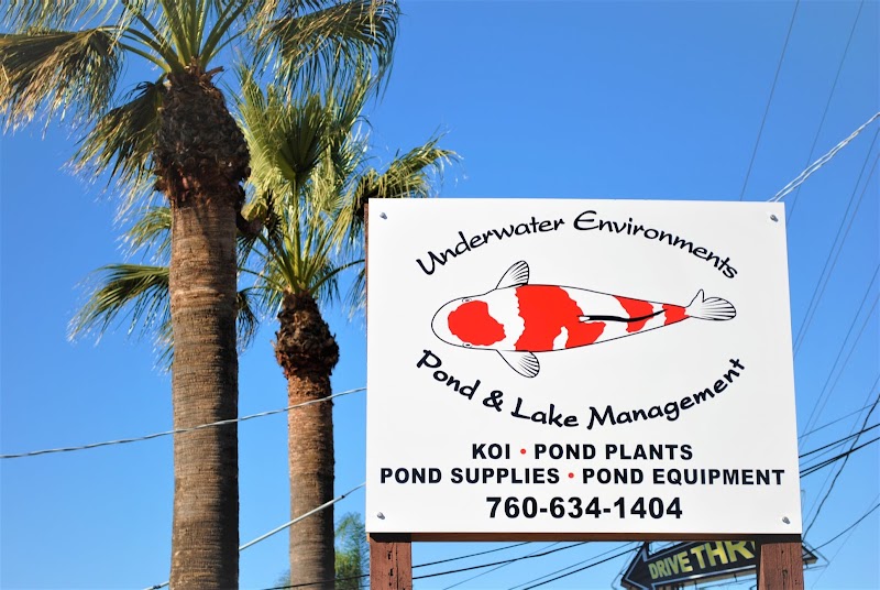 Underwater Environments - Photo 2