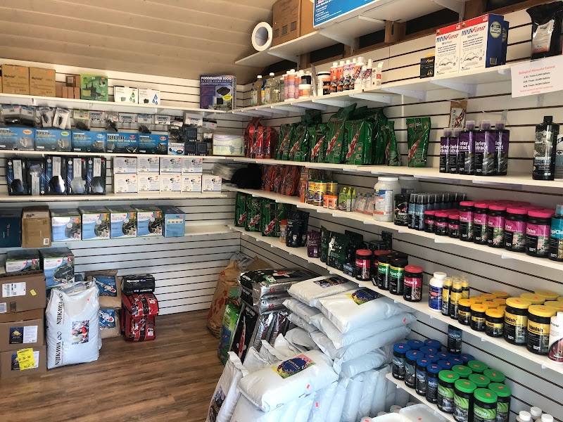 Underwater Environments - Photo 3