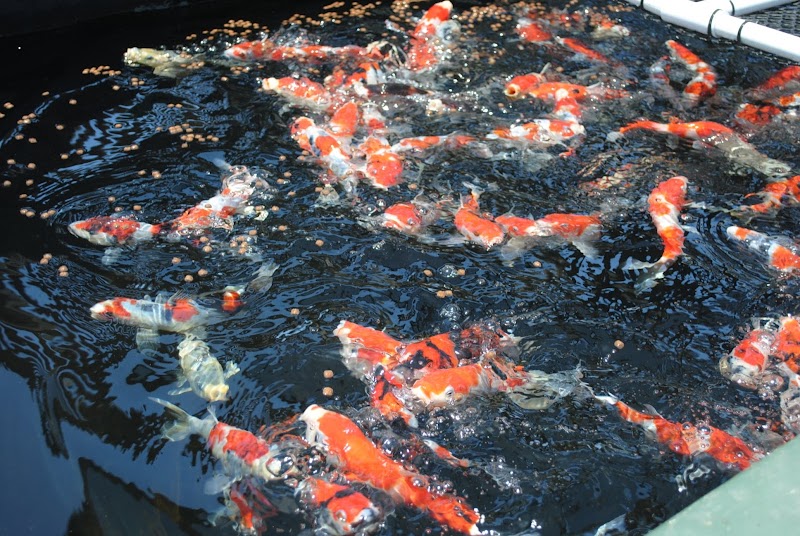 Underwater Environments - Photo 5