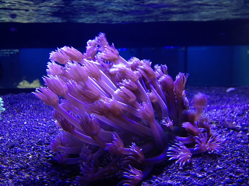 Off The Hook Marine Fish - Photo 2