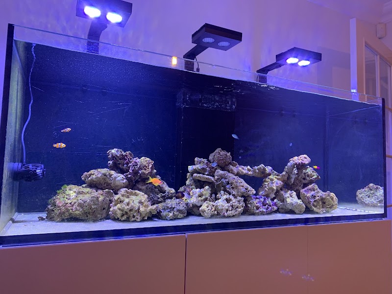 Tropical Waters - Photo 1