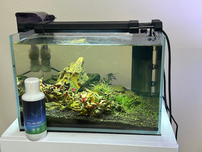 Tropical Waters - Photo 2