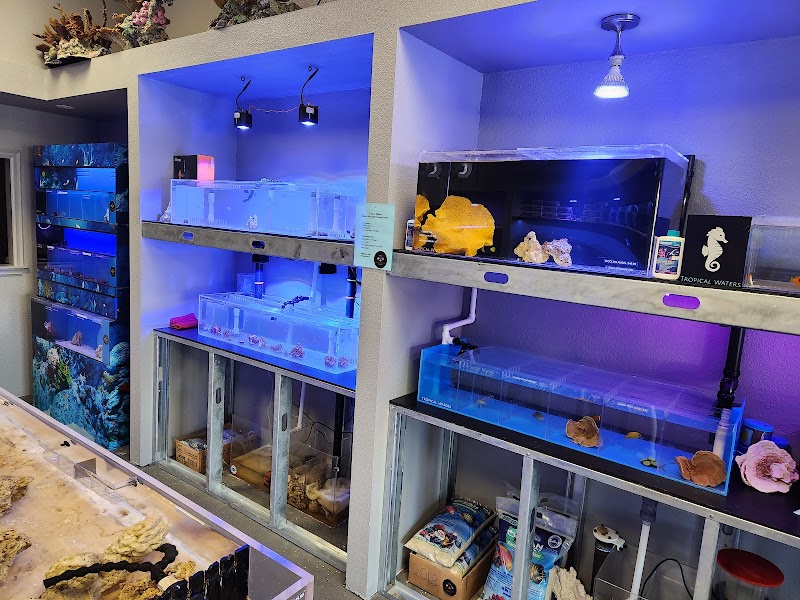 Tropical Waters - Photo 3