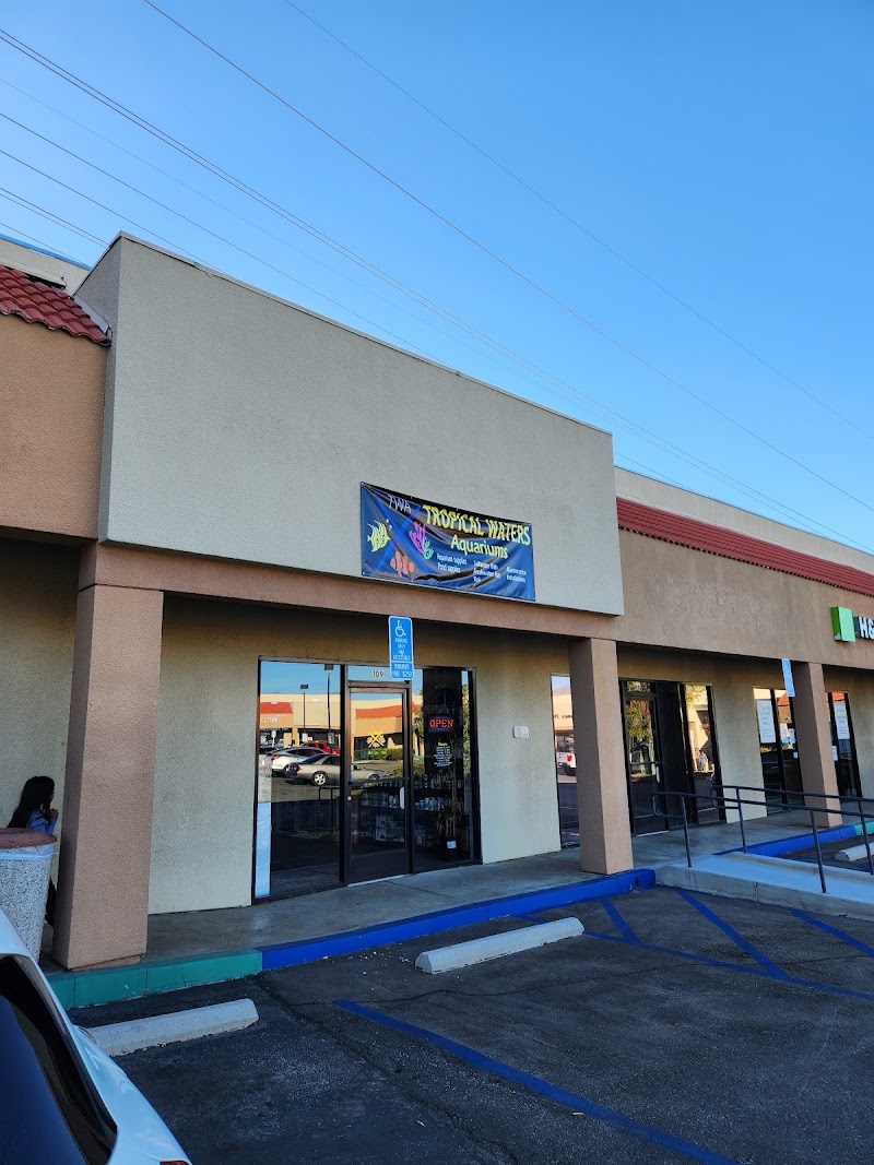 Tropical Waters - Photo 4