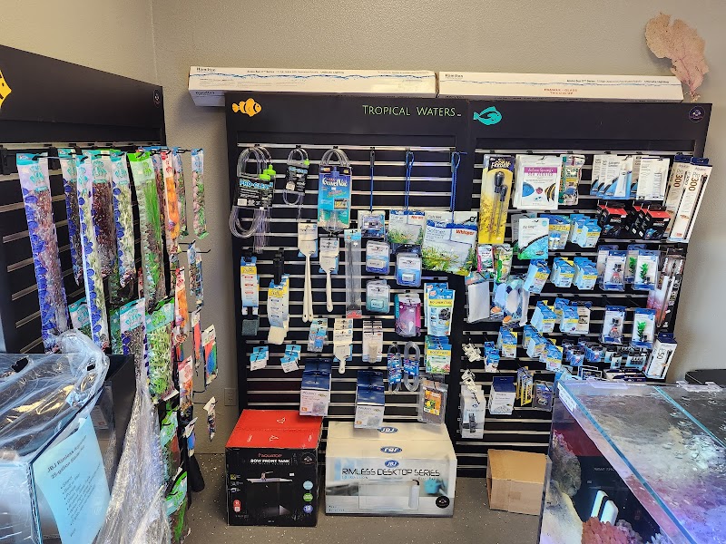 Tropical Waters - Photo 5