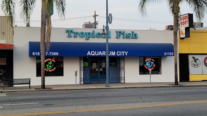 Aquarium City - Photo 1